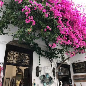 Meet your Posher, Kathy